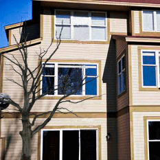 house-improvement